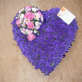 fwthumb2011 flower phtoos 401.jpg